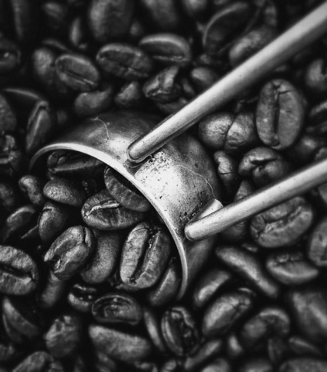 Coffee Beans 2