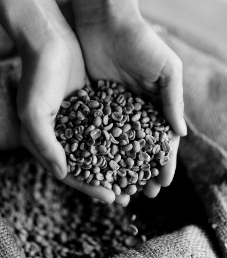 Coffee Beans 1